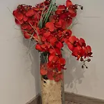 84m2 - Landquartier Moik Ankommen - Durchatmen - Abschalten Apartman