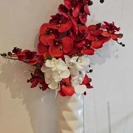 80m2 - Landquartier Moik Ankommen - Durchatmen - Abschalten شقة